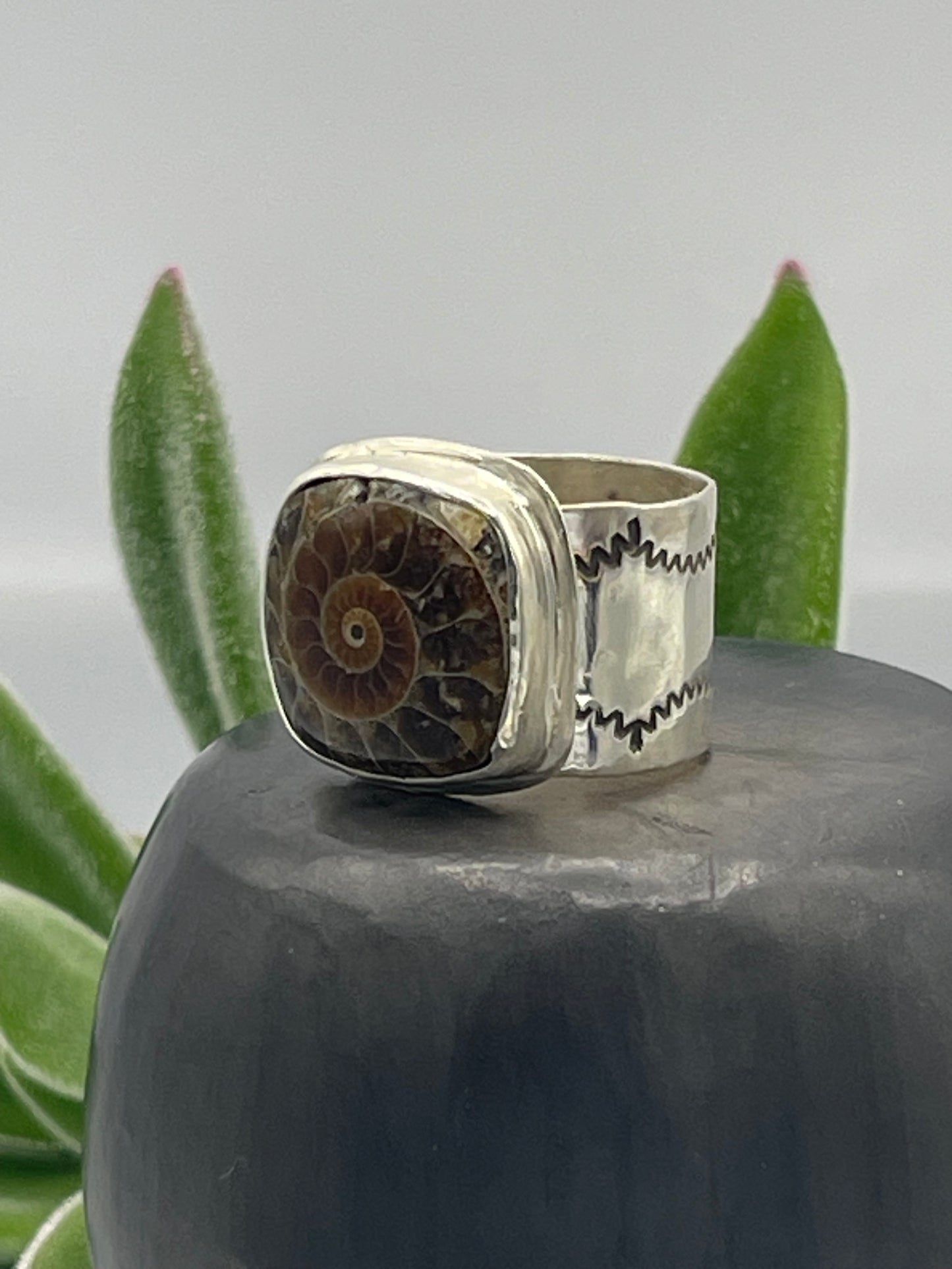 Ammonite Ring